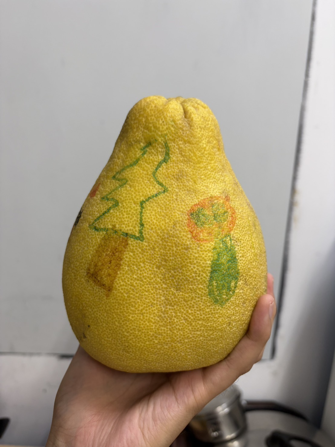 今年中秋，愛心育幼院的柚子有點不一樣