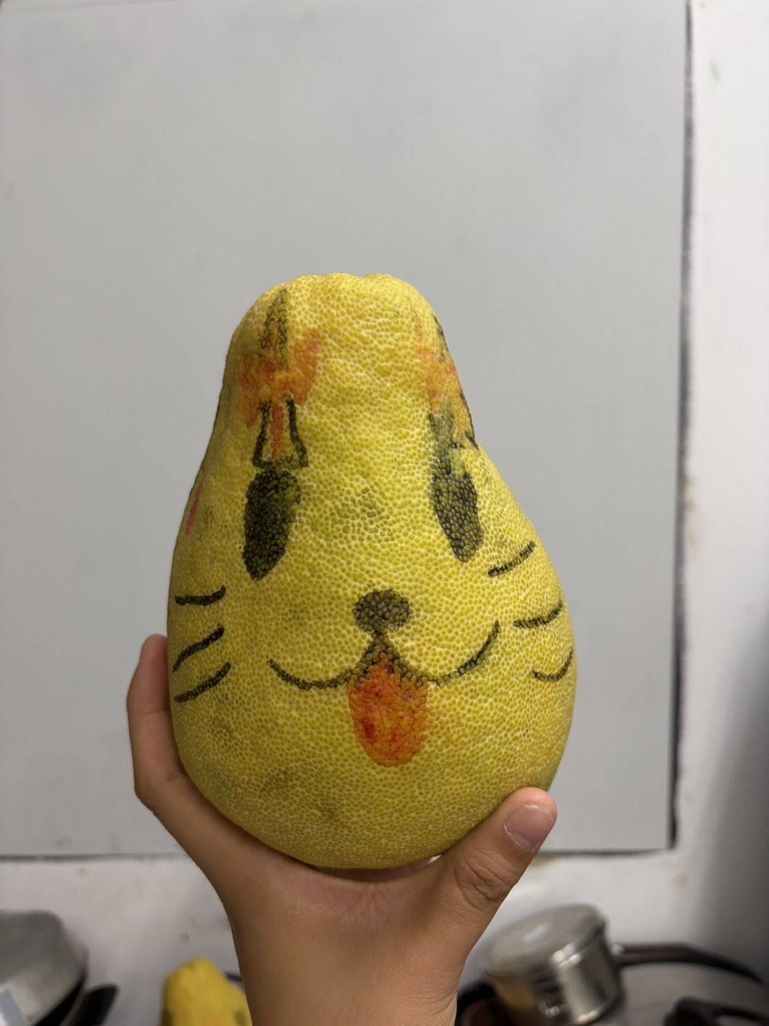 今年中秋，愛心育幼院的柚子有點不一樣