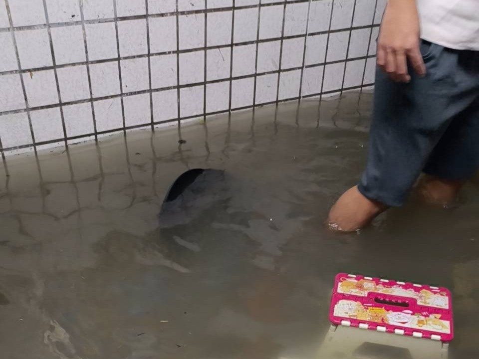 小達一家返家整理時，屋內積水未退，家具、家電幾乎全數泡水受損
