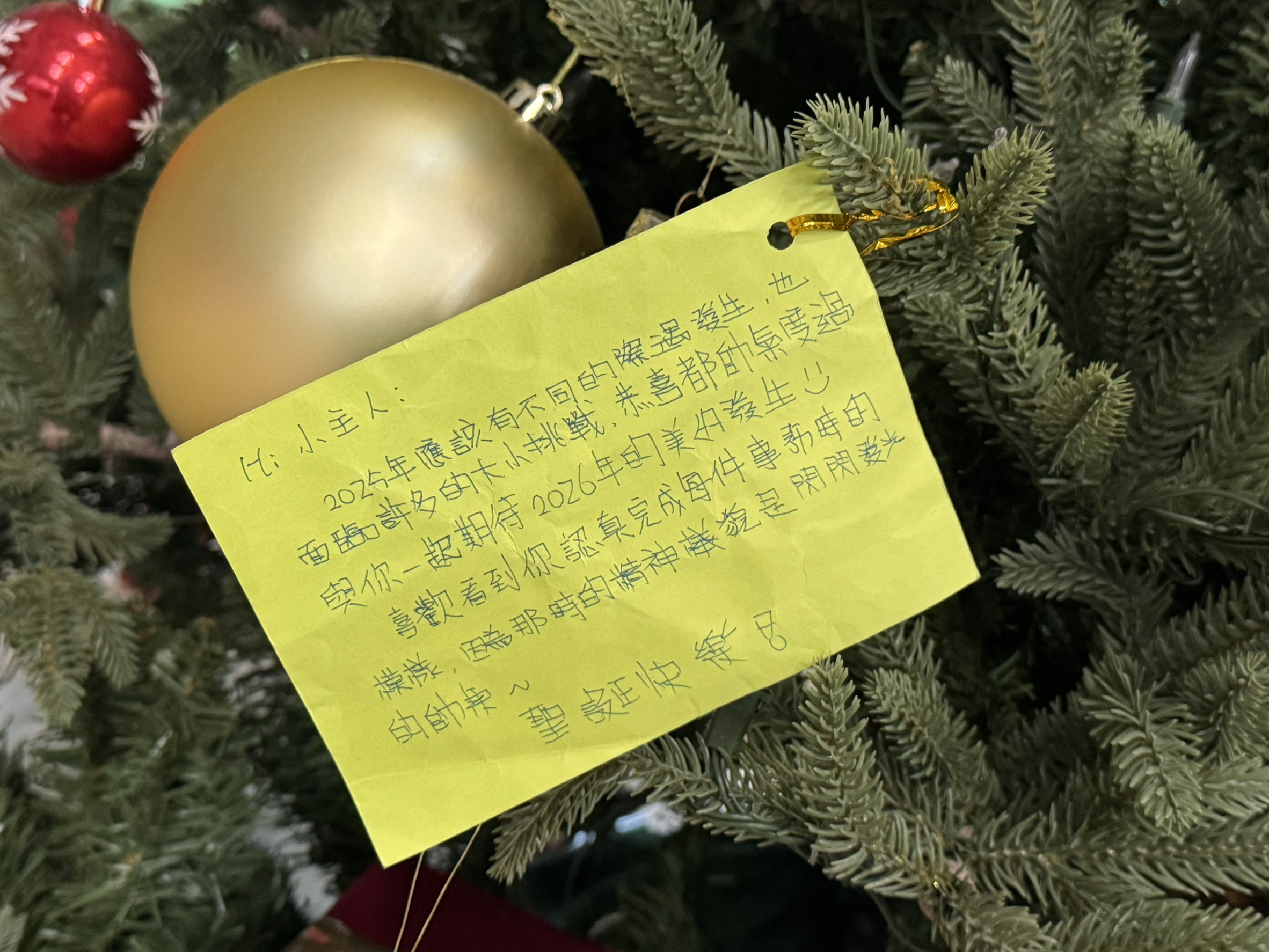 小天使與小主人的遊戲