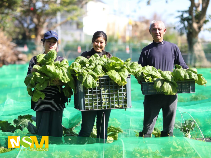 楊慶嘉參與以工帶振計畫，協助少年之家自然農業耕作