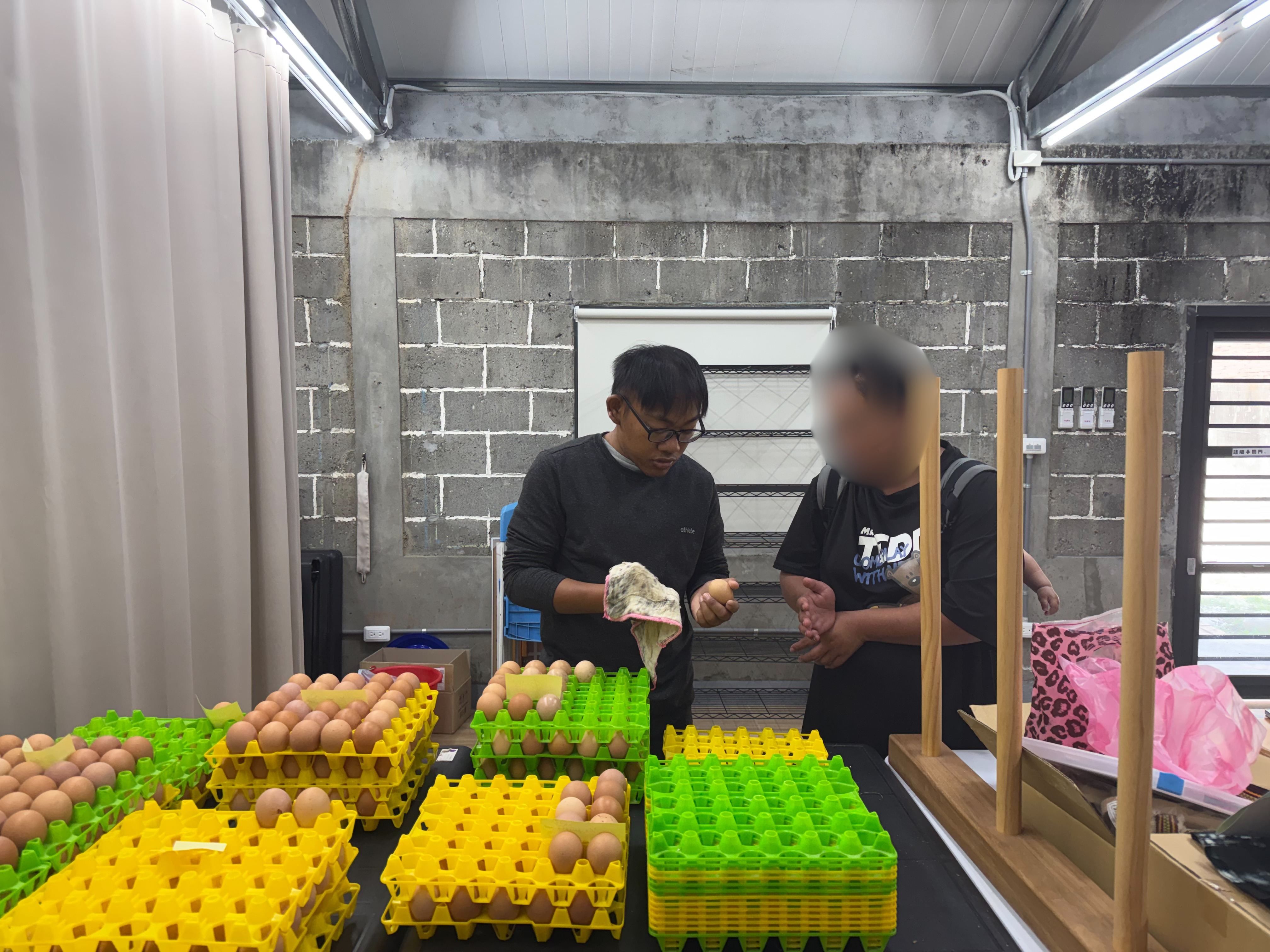 韋伯(左)將雞蛋擦拭乾淨，並逐顆檢查後裝成盒出貨。